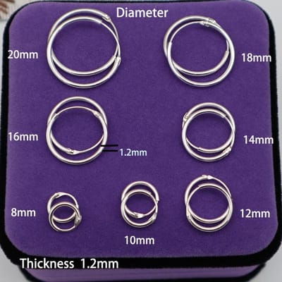 Middelgrote 925 Sterling Zilver Kleine Oorringen Voor Vrouwen Oorbeen Gesp Ronde Cirkel Oorbellen Hoops Oorringen Oorhangers Sieraden blue