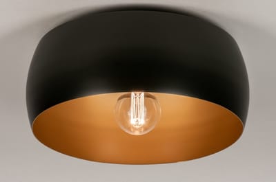 Lumidora Plafondlamp 74199 - Plafonniere - ZWEEDS - E27 - Zwart - Goud - Metaal - ⌀ 45 cm