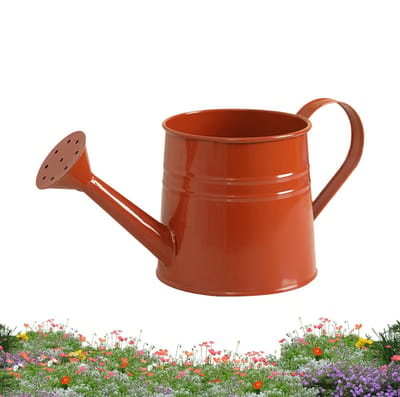 Gieter - 1L 24,5 x 11,5 x 11 cm, metalen tuinsproeier | Modern plantengereedschap, huis kas boerderij tuin tuin pad landschap bonsai bloemen binnen buiten duurzaam ergonomisch praktisch