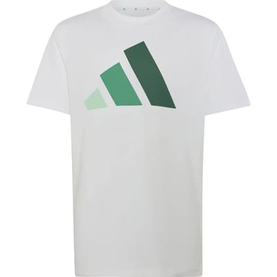 Adidas Essentials T-shirt Met Korte Mouwen Wit 9-10 Years Kinderen