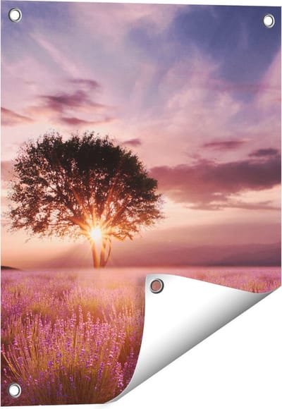 Gards Tuinposter Bloemenveld met Lavendel bij Zonsondergang - 40x50 cm - Tuindoek - Tuindecoratie - Wanddecoratie buiten - Tuinschilderij