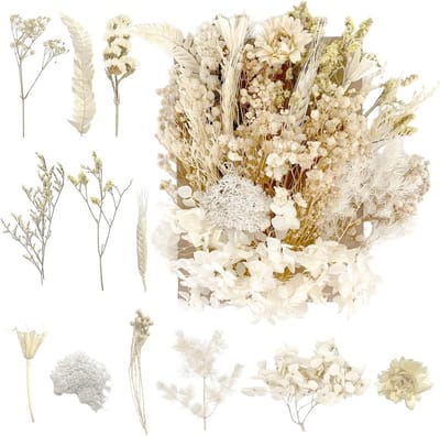 Dried Flowers voor DIY Kunstprojecten, Hars, Scrapbooking, Sieraden en Decoratie in Pure Witte Kleur