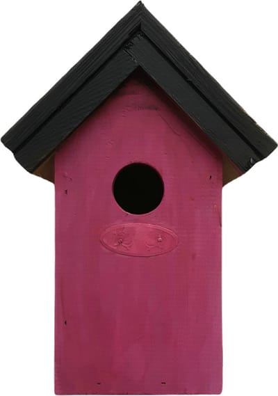 Houten vogelhuisje/nestkastje 22 cm - in het zwart/roze maken - Dhz schilderen pakket - 2x tubes verf en kwasten