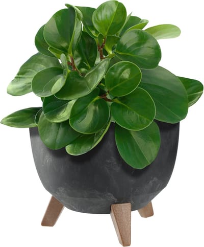 KADAX Bloempot van kunststof met drie insteeksteunen, ronde bloemenschaal, plantenbak, bloembak, plantenbak voor balkon, woonkamer (zwart, diameter 24 cm)