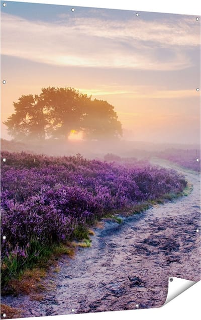 Gards Tuinposter Pad in de Weide van de Veluwe - 120x160 cm - Tuindoek - Tuindecoratie - Wanddecoratie buiten - Tuinschilderij