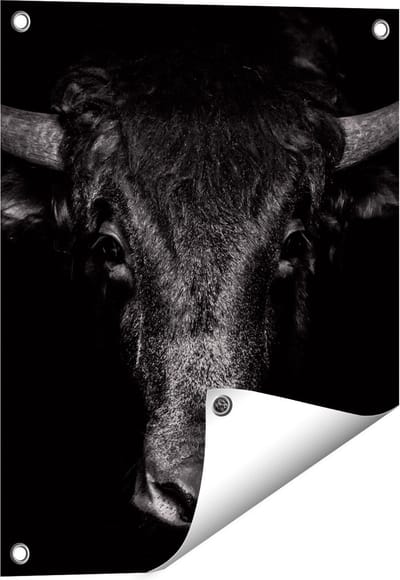 Gards Tuinposter Stierenkop - Stier - Zwart Wit - 40x50 cm - Tuindoek - Tuindecoratie - Wanddecoratie buiten - Tuinschilderij
