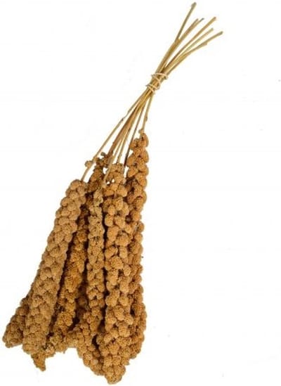 Wielink Trosgierst CHINEES Geel 15KG
