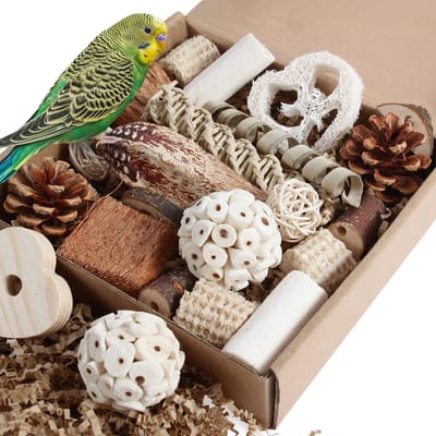 Kyouki Vogelspeelgoed, papegaaienspeelgoed, natuurlijke vogel, foerageerdoos, voetspeelgoed voor parkieten, kakels, conures, liefdesvogels en andere kleine tot middelgrote vogels (Medium)