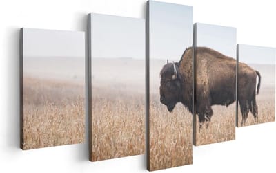 Artaza Canvas Schilderij Vijfluik Bizon in het Gras - 100x50 - Foto Op Canvas - Canvas Print