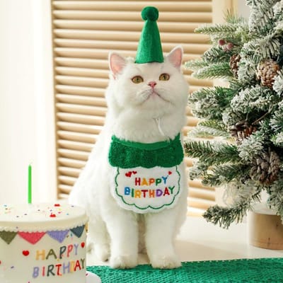 Verjaardagshoed voor huisdieren Set Leuke Kat Hond Verjaardagsviering Sjaal Verkleden Kitten Puppy Kostuums Cadeau Huisdieraccessoires