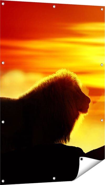 Gards Tuinposter Leeuw en Tijger - Silhouet - Zonsopkomst - 80x120 cm - Tuindoek - Tuindecoratie - Wanddecoratie buiten - Tuinschilderij