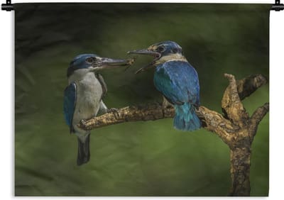 Wandkleed Ijsvogel - Ijsvogels op een tak Wandkleed katoen 150x112 cm - Wandtapijt met foto