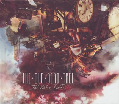 Water Fields - Old Dead Tree