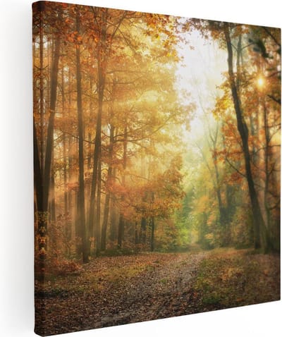 Artaza Canvas Schilderij Bos - 80x80 cm - Wanddecoratie Herfst - Muurdecoratie Landschap - Schilderijen Op Canvas Natuur