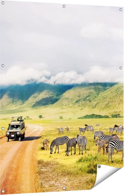 Gards Tuinposter Safari Auto tussen de Zebra's - 90x120 cm - Tuindoek - Tuindecoratie - Wanddecoratie buiten - Tuinschilderij