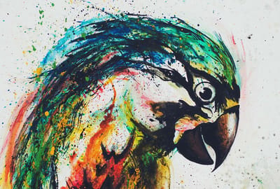 Fotobehang Parrot DD120041 A.S. Création ARTist Kleurrijk Groen Vlies 270 x 400 cm (4 delen) Fotobehang