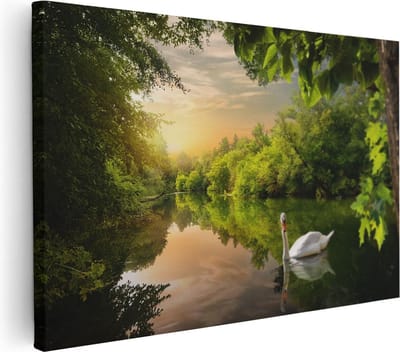 Artaza Canvas Schilderij Zwaan In Bos - 30x20 cm - Klein - Wanddecoratie Natuur - Muurdecoratie Woonkamer - Schilderijen Op Canvas