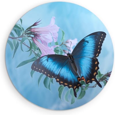 Saammp Muurcirkel Hout - Vlinder op roze bloem - Abstract - Dieren - Natuur - Ø 90 - Wandcirkel - Wanddecoratie Cirkel - muurdecoratie Woonkamer - Slaapkamer decoratie - Rond Schilderij