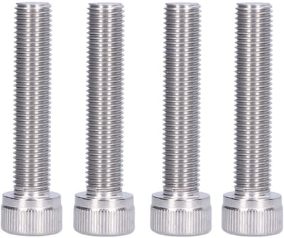 Dailygoods- Inbusschroef A2-70 Roestvrij Staal - Zeskantbout - 10 Mm Draaddiameter - 8 Stuks - Corrosiebestendig - Ideaal voor Doe-het-zelfprojecten