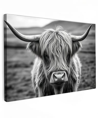 Canvas schilderij - Scottish Highland Cow - 60x40 cm - Highland Cow - Huis decoratie woonkamer - dieren muur schilderijen - Wanddecoratie accessoires - Kamer interieur