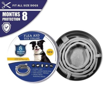 Premium Honden Vlooienband & Tekenband – 8 Maanden Bescherming – Anti Vlooien & Teken voor Honden – Verstelbare Veiligheidshalsband – Waterproof & Geurloos