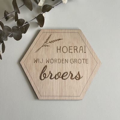 Zwangerschapsaankondiging Hexagon Broers – Hoera! Wij worden grote broers! - Grote broers - Zwangerschapsaankondiging - Big Brothers - Aankondiging Zwangerschap - Bekendmaking Zwangerschap - Gender Reveal