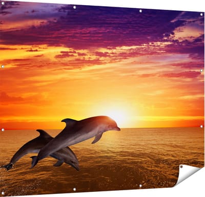 Gards Tuinposter Twee Dolfijnen bij de Zonsondergang - 150x120 cm - Tuindoek - Tuindecoratie - Wanddecoratie buiten - Tuinschilderij