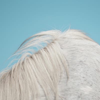 Widowspeak - All Yours (LP)