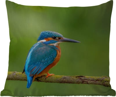 Tuinkussen - IJsvogel - Tak - Mos - Vogel - Groen - 40x40 cm - Weerbestendig