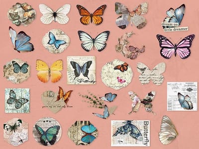 Set van 50 stickers - Forest Adventure - Vlinders - Butterfly Sticker