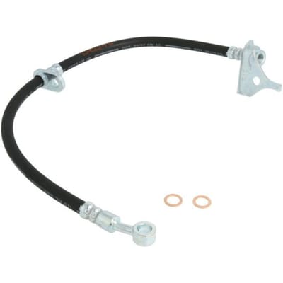 Remslang DELPHI LH7281