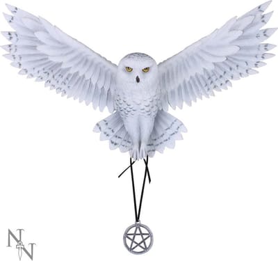 Nemesis Now Muurdecoratie Awaken your Magic Multicolours