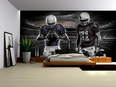 American Football Stadium Photo Wallcovering