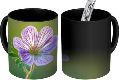 Magische Mok - Foto op Warmte Mokken - Koffiemok - Bloem - Close up - Paars - Magic Mok - Beker - 350 ML - Theemok