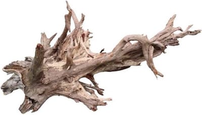 HS Aqua Corbo-Root eucalyptus aquariumhout | pH-verlagend Jumbo - 80-120CM