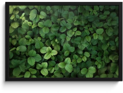 Poster in lijst - Fotolijst 60x40 cm - Posters - Groen - Bladeren - Kartel - Zonlicht - Posterlijst zwart - Decoratie - Wanddecoratie woonkamer - Muurdecoratie slaapkamer