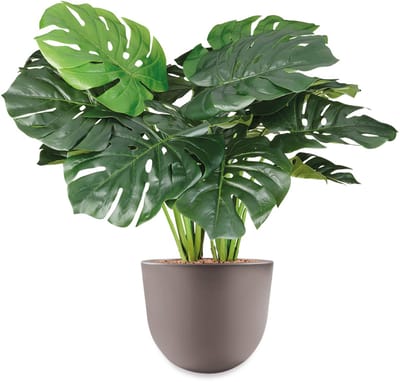 HTT - Kunstplant Monstera in Eggy taupe H70 cm