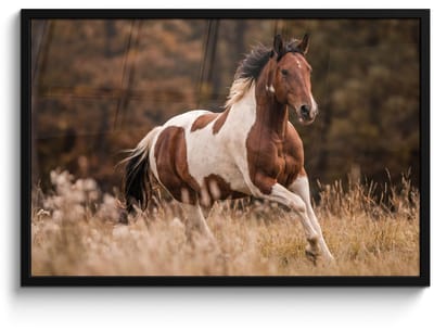 Poster in lijst - Fotolijst 90x60 cm - Posters - Paard - Bruin - Gras - Posterlijst zwart - Decoratie - Wanddecoratie woonkamer - Muurdecoratie slaapkamer