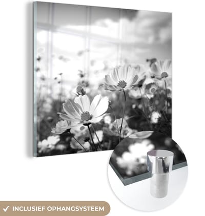 MuchoWow® Glasschilderij 90x90 cm - Schilderij acrylglas - Bloemen - Wei - Paars - Gras - Wit - Wolken - Blauw - Foto op glas - Schilderijen