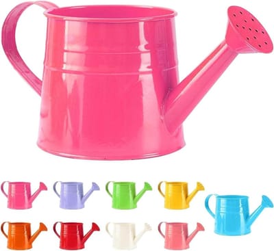 Kleine gieter voor kamerplanten – 1 liter – Compacte gieter – Metalen gieter voor tuin & balkon – Vintage stijl – Tuinaccessoire – Tuinsproeier – Gieter – IJzeren gietemmer - Gieter - 24,5 x 12 x 11,5 cm