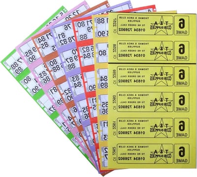 Bingo Kaartjes - Speelkaarten - Spelavond Organiseren - Grote Cijfers - 12000 Stuks - Meerkleurig