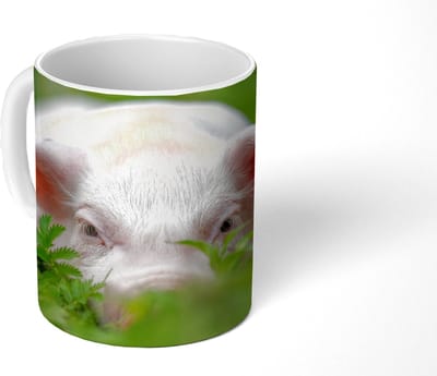 Mok - Koffiemok - Varken - Dieren - Big - Mokken - 350 ML - Beker - Koffiemokken - Theemok