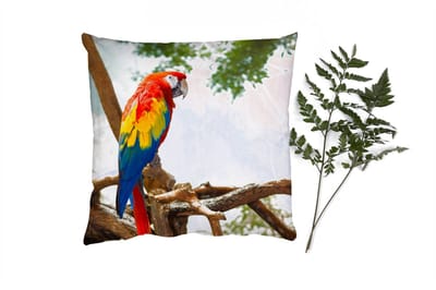 Sierkussens - Kussentjes Woonkamer - 40x40 cm - Papegaai - Vogel - Regenboog - Tropical