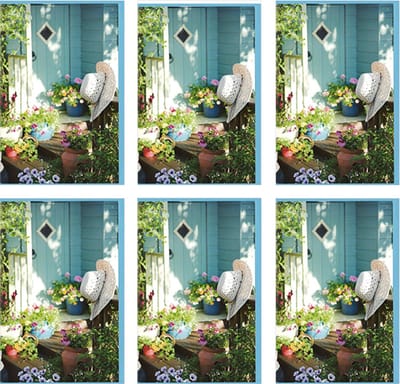 MGPcards - 6x dubbele wenskaart met envelop - Blanco - Bloemen - 11,5 x 17 cm