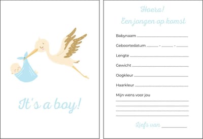 Babyshower invulkaarten 20 stuks | babyshower | babyshower voorspellingskaarten | babyshower kaarten | babyshower spelletjes | babyshower jongen | blauw