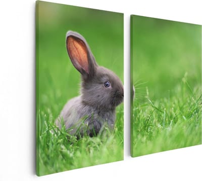 Artaza Canvas Schilderij Tweeluik Konijn In Het Gras - 80x60 - Foto Op Canvas - Canvas Print