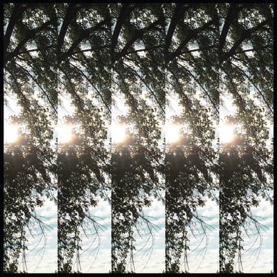 Pontiak - Dialectic Of Ignorance (LP)