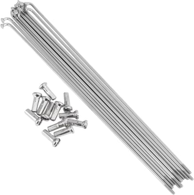 Dailygoods - 12 set 14G fietsspaken 183 mm fietswiel spaken 304 roestvrij staal zilverkleurig