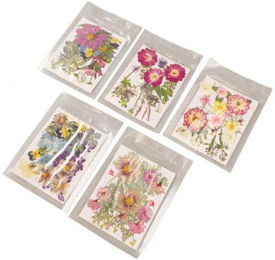 Dailygoods- Gedroogde Bloemen Levendige Kleuren - Geperste Bloemen - Decoratie - Duurzaam Materiaal - 5 Zakjes - Hoogwaardige Kwaliteit - Decoratiebloemen