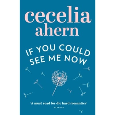 If You Could See Me Now - Cecelia Ahern